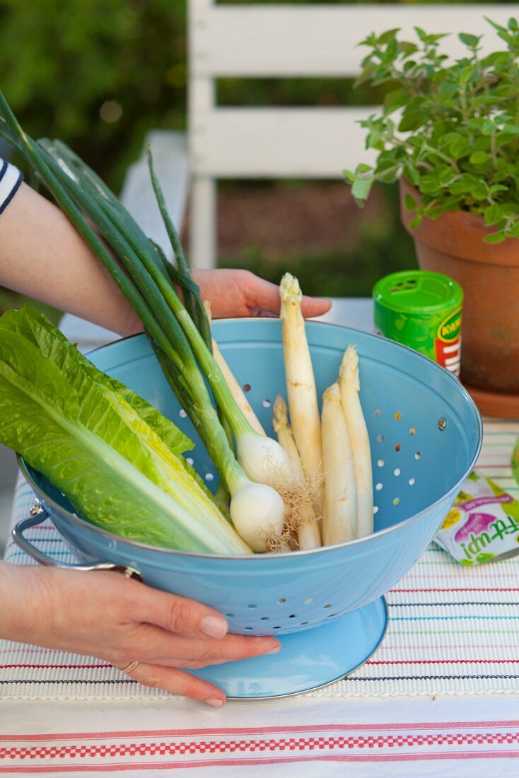 Romanasalat, Zwiebel und weisser Spargel im Küchensieb