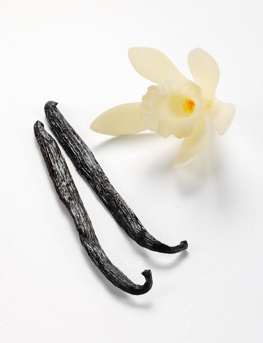 Vanilla pods with a vanilla flower against a white background