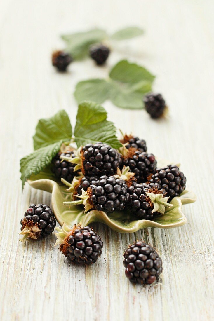 Frische Brombeeren mit Blättern im Schälchen und daneben