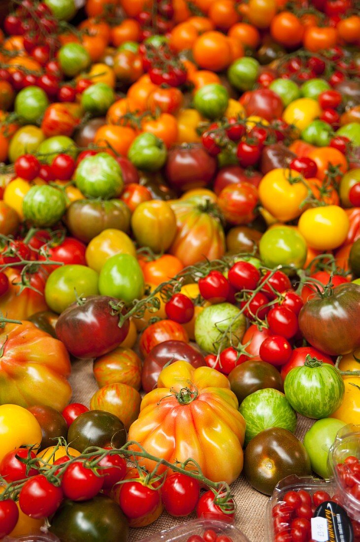 Lots of heirloom tomatoes