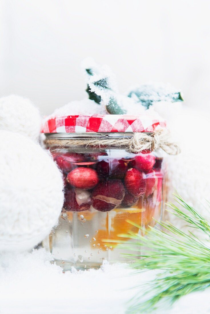 Selbstgemachter Cranberrywodka zu Weihnachten