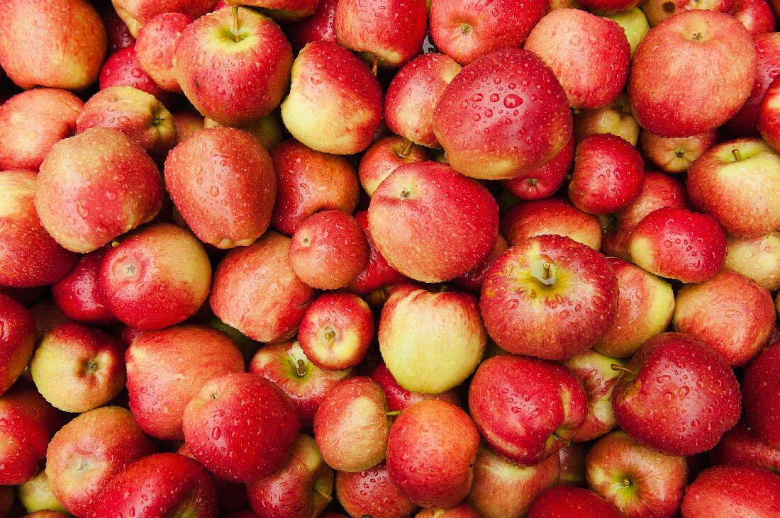 Red-cheeked apples