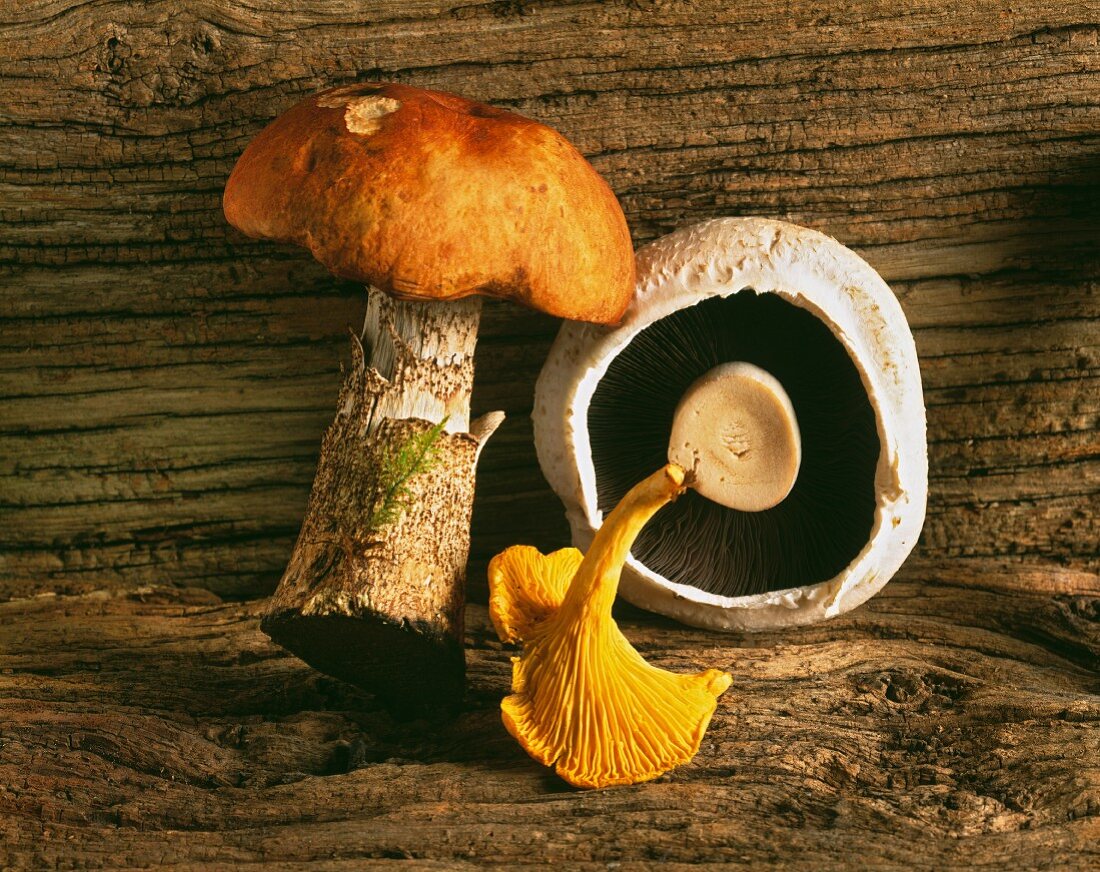 Frische Pilze auf Holzuntergrund