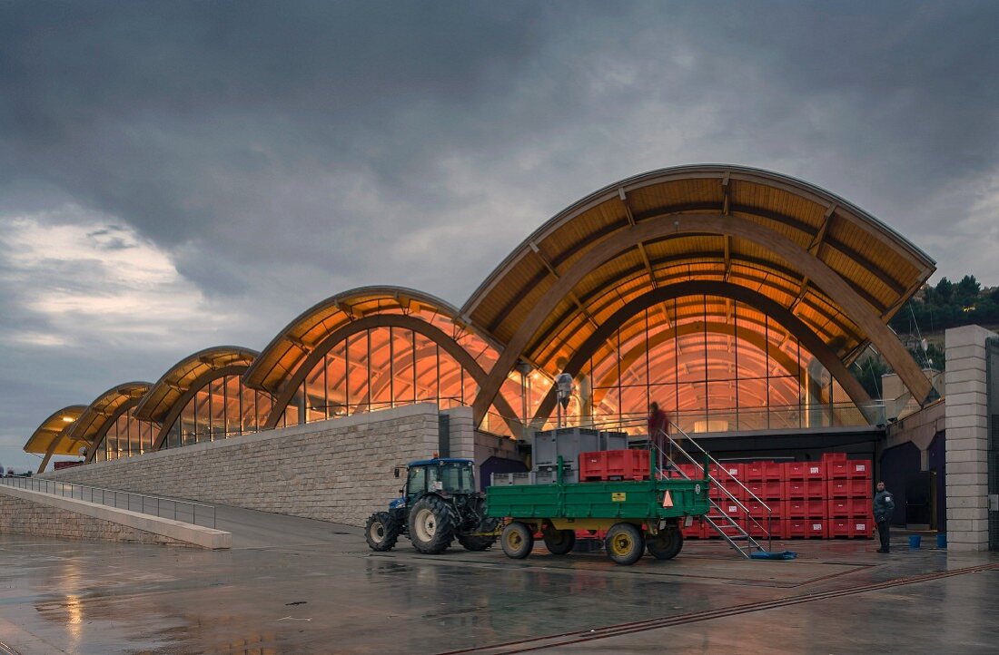 Traubenanlieferung zur Bodegas Protos in Penafiel (Castilla y Leon, Spanien, im Weinbaugebiet Ribera del Duero)