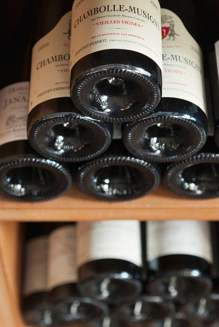 Bottles of red wine in a wine bin