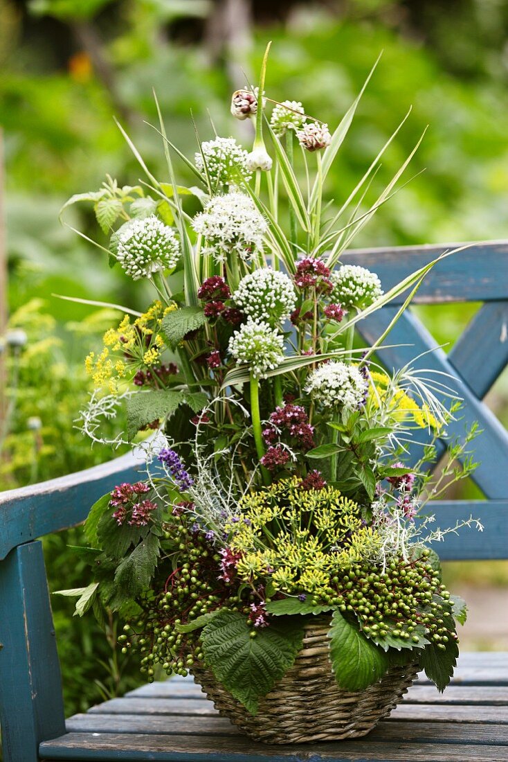 Decorative flower arrangement with garlic flowers and unripe elderberries on garden bench