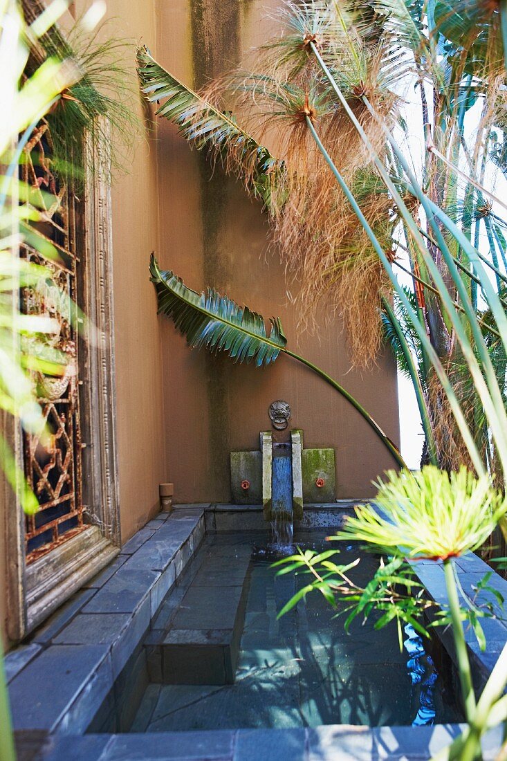 Palm fronds next to stone pool against house facade