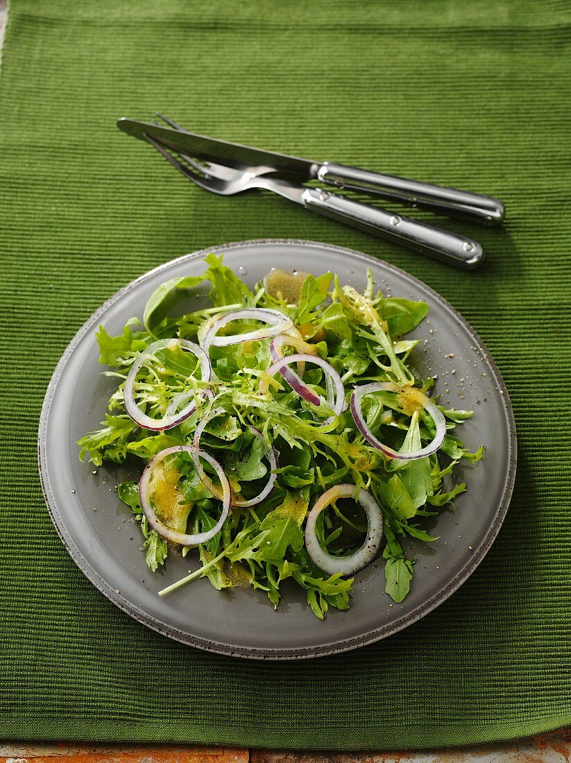 Gemischter Blattsalat mit Zwiebelringen