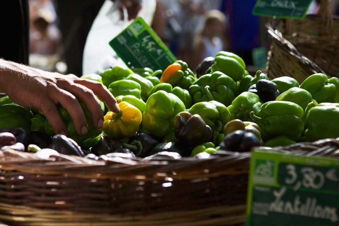 Paprikaschoten in Korb auf Markt