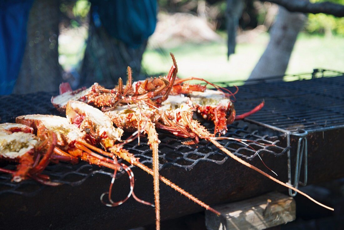 Lobster and crayfish on the barbecue