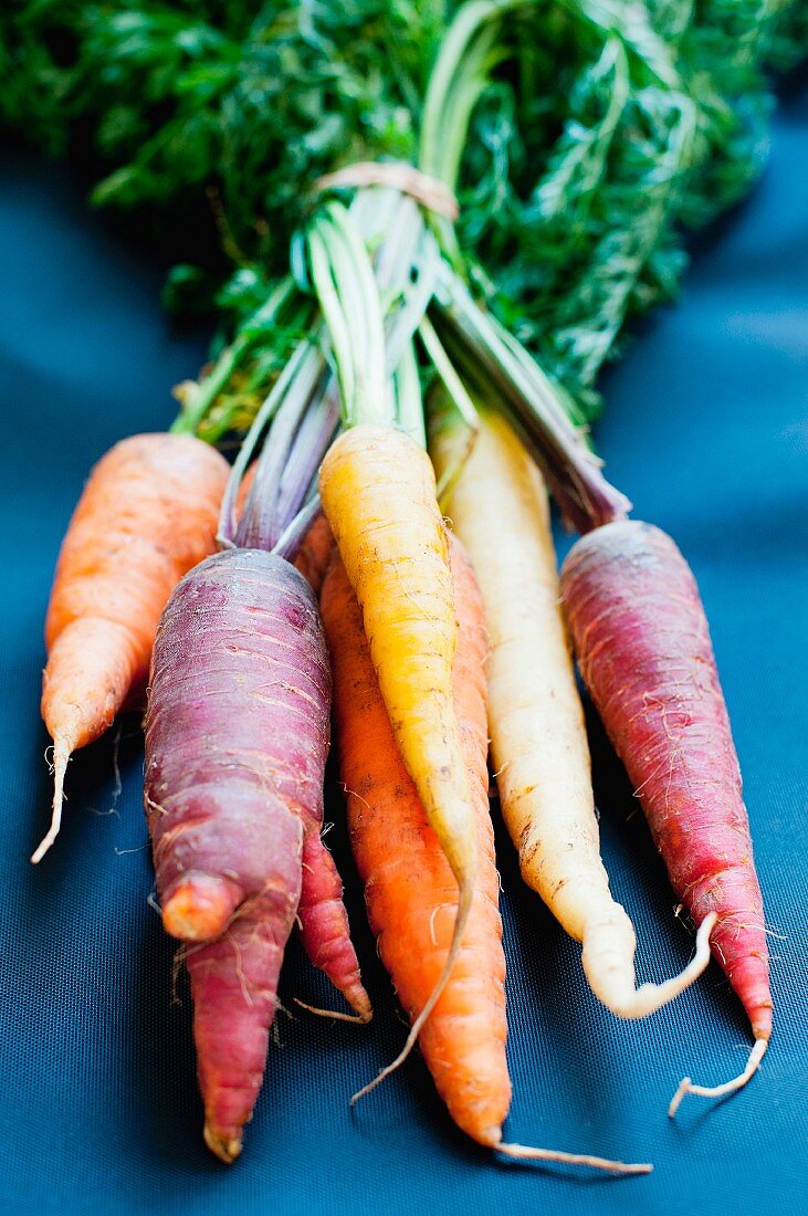 A bunch of carrots in various colours