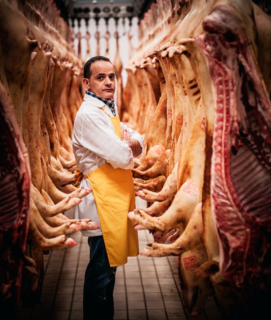 A butcher standing between hanging pig carcasses, which have been cut in half