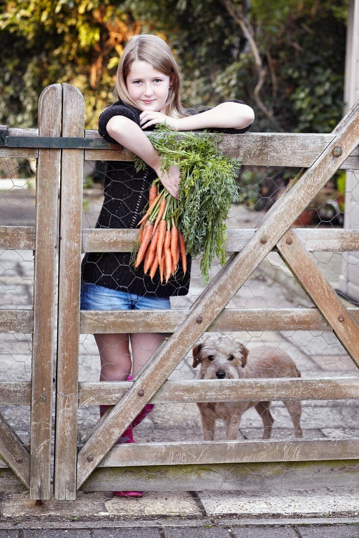 Girl standing with a bunch of carrots and a dog by a wooden gate