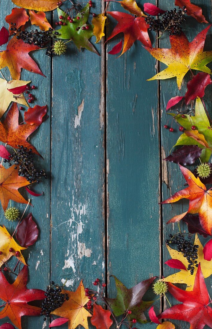 Herbstblätter und Beeren um den Bildrand