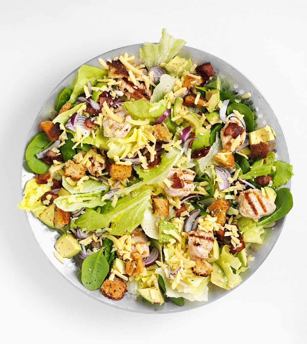 Salad with grilled turkey, cheese and croutons