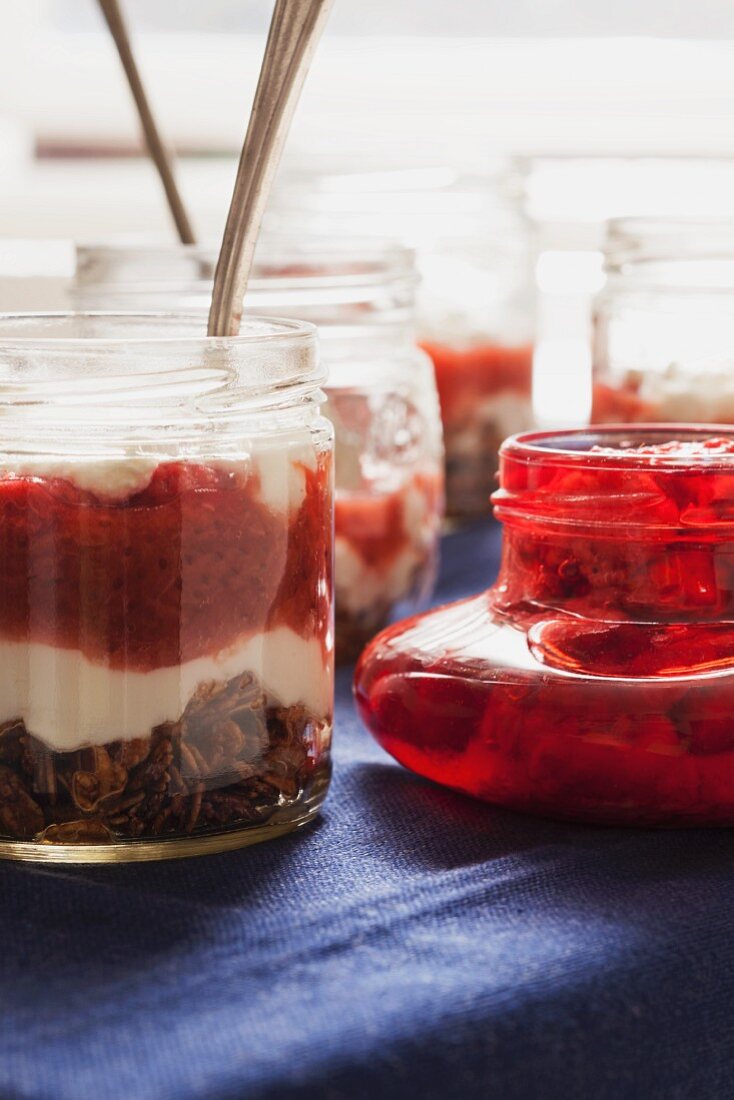 Parfait mit selbstgemachter Erdbeermarmelade und Schokomüsli im Glas