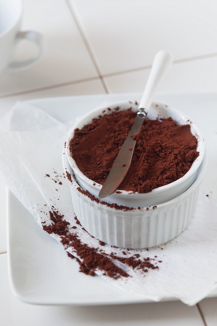 Coco Powder in a White Bowl with Knife