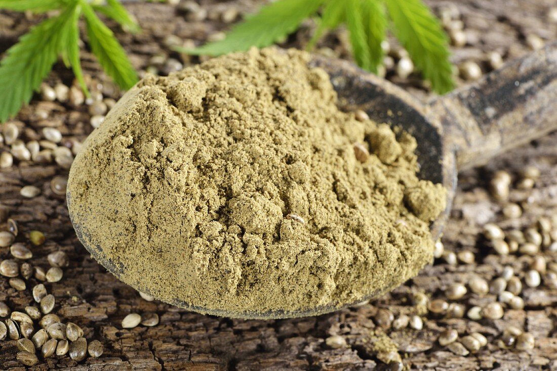 Hemp flour on a wooden spoon