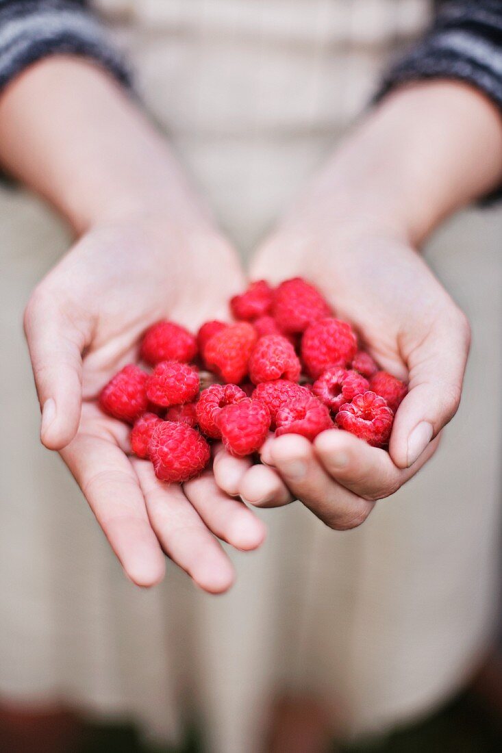 Girl with a big handful of raspberries