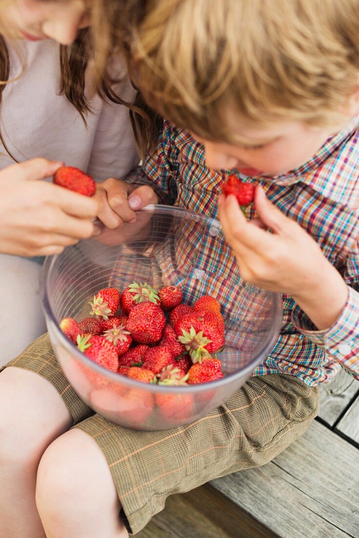 Mädchen & Junge essen frisch gepflückte Erdbeeren