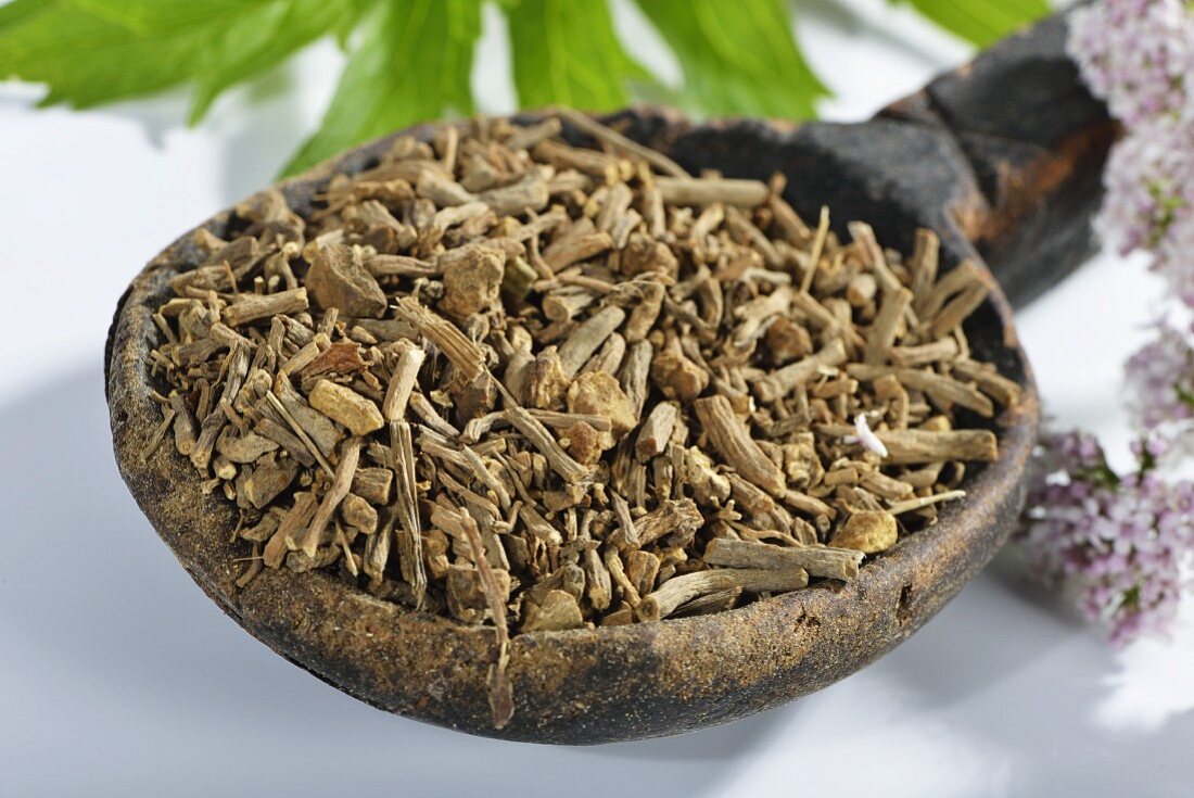 Dried chopped valerian root in a wooden spoon