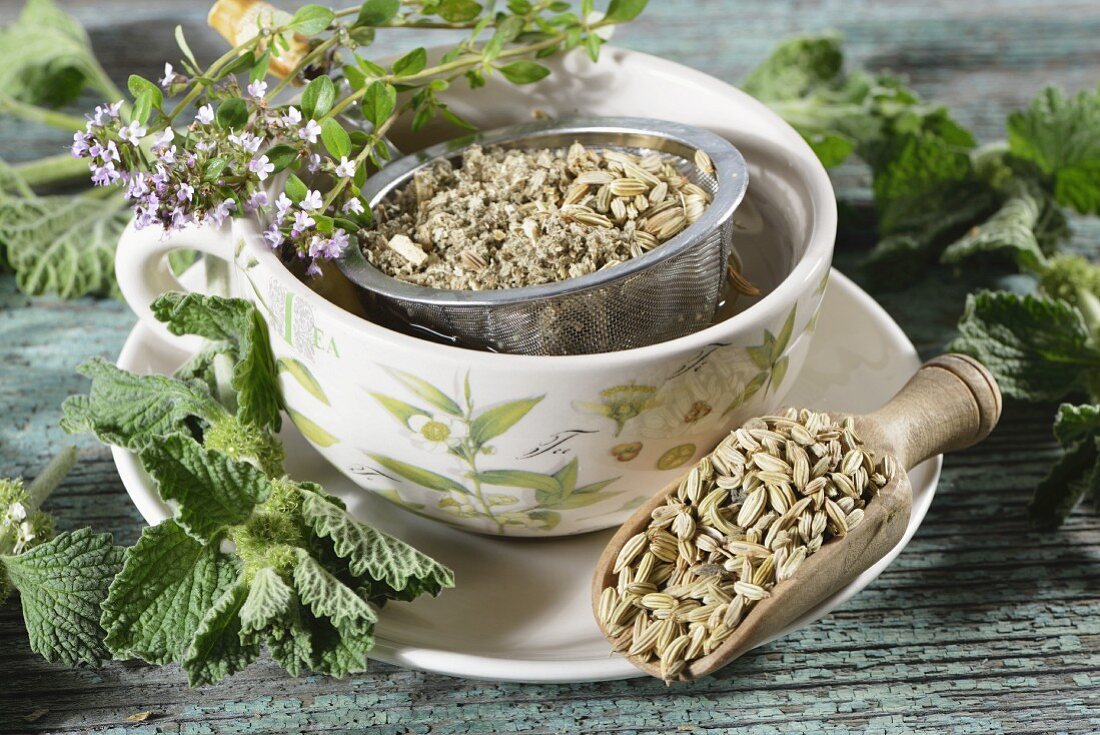 Herbal tea with hoarhound, thyme and fennel seeds