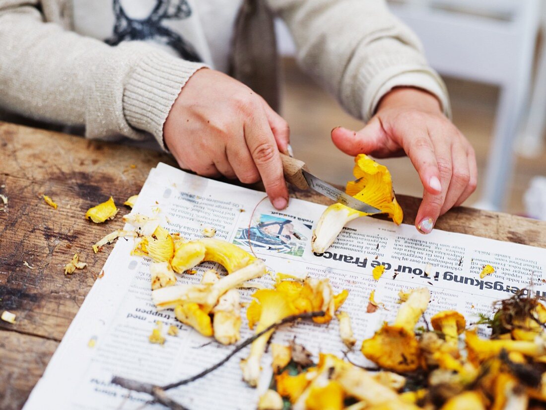 Mädchen schneidet frische auf Zeitungspapier liegende Pfifferlinge