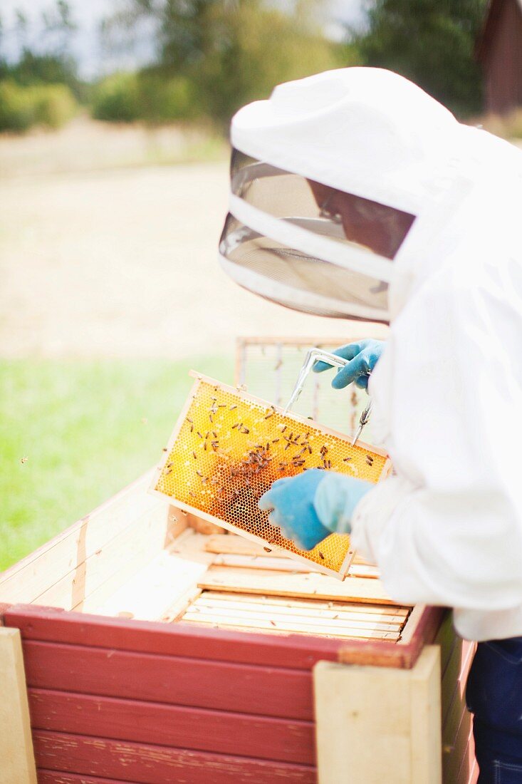 A beekeeper wearing a protective suit with a honeycomb