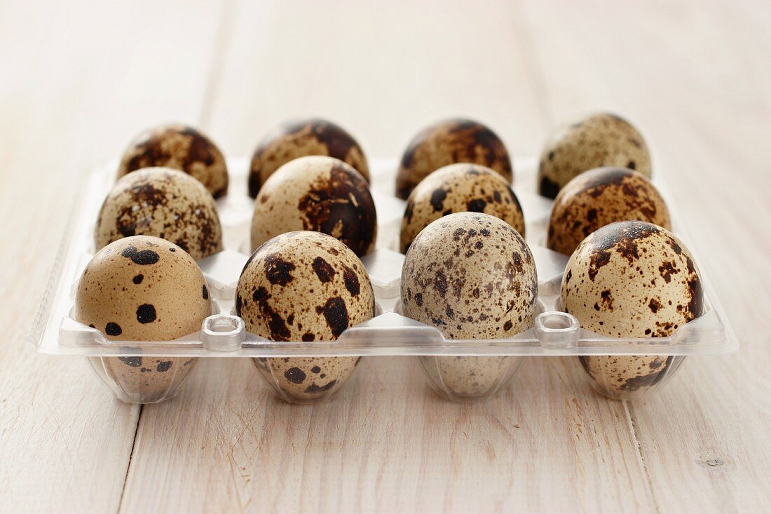 Twelve quail's eggs in an egg box