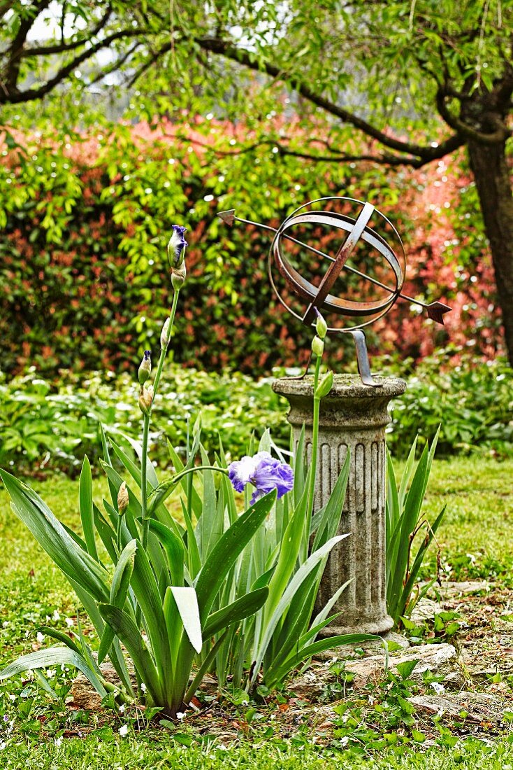 Blühende Iris vor alter Steinsäule mit Metall-Kunstobjekt in romantischem Garten