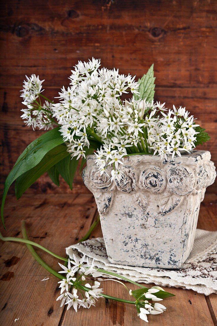 Wild garlic flowers in a stone vase
