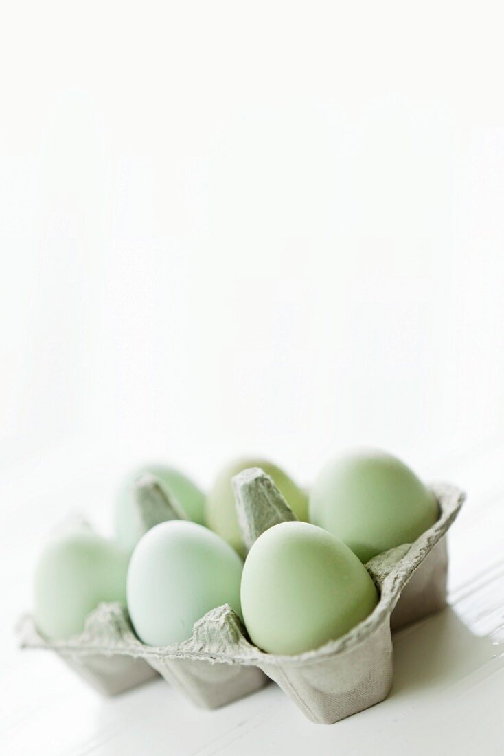 Pastellgrüne Eier im Eierkarton