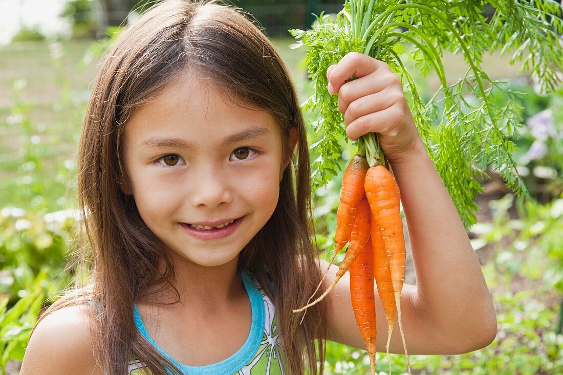 Mädchen hält frisch gepflückte Karotten in der Hand