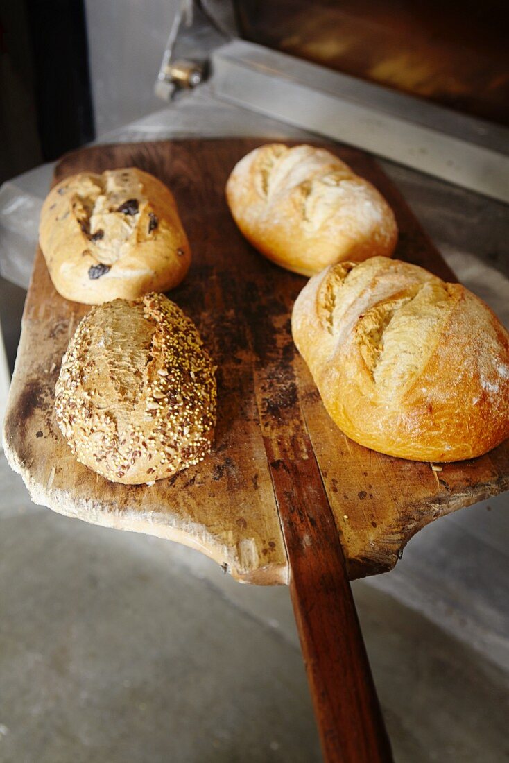 Assorted loaves on a bread peel