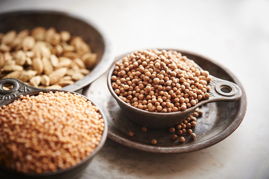 Assorted spices including cardamom, mustard sees, and coriander seed.