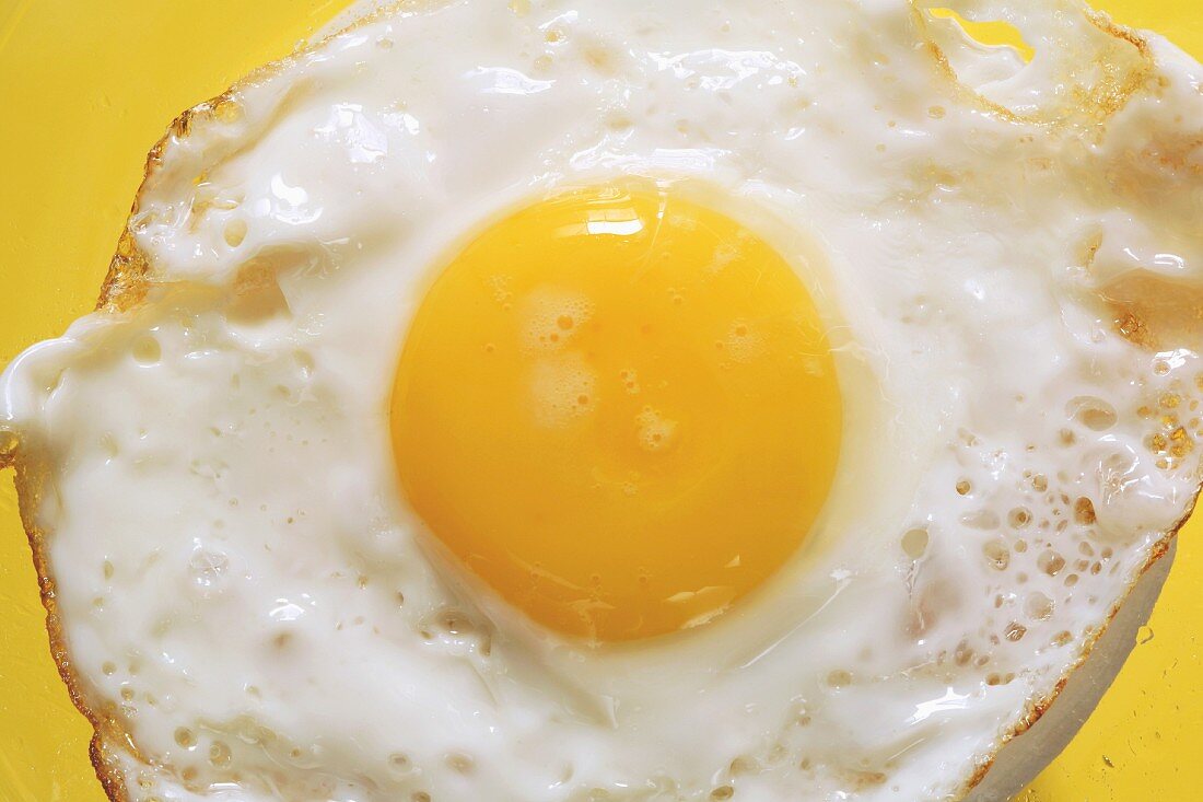 Fried Egg Close-up