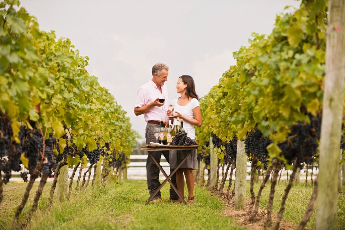 Paar bei der Weinprobe im Weinberg