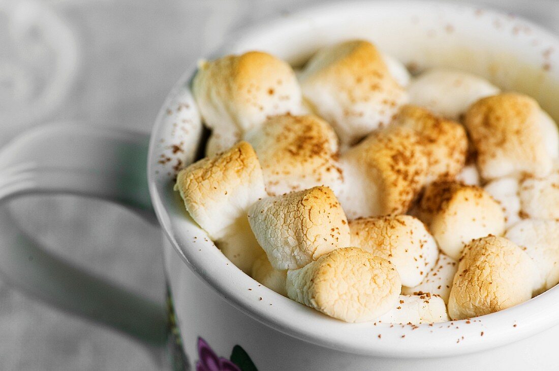 Hot chocolate with marshmallows