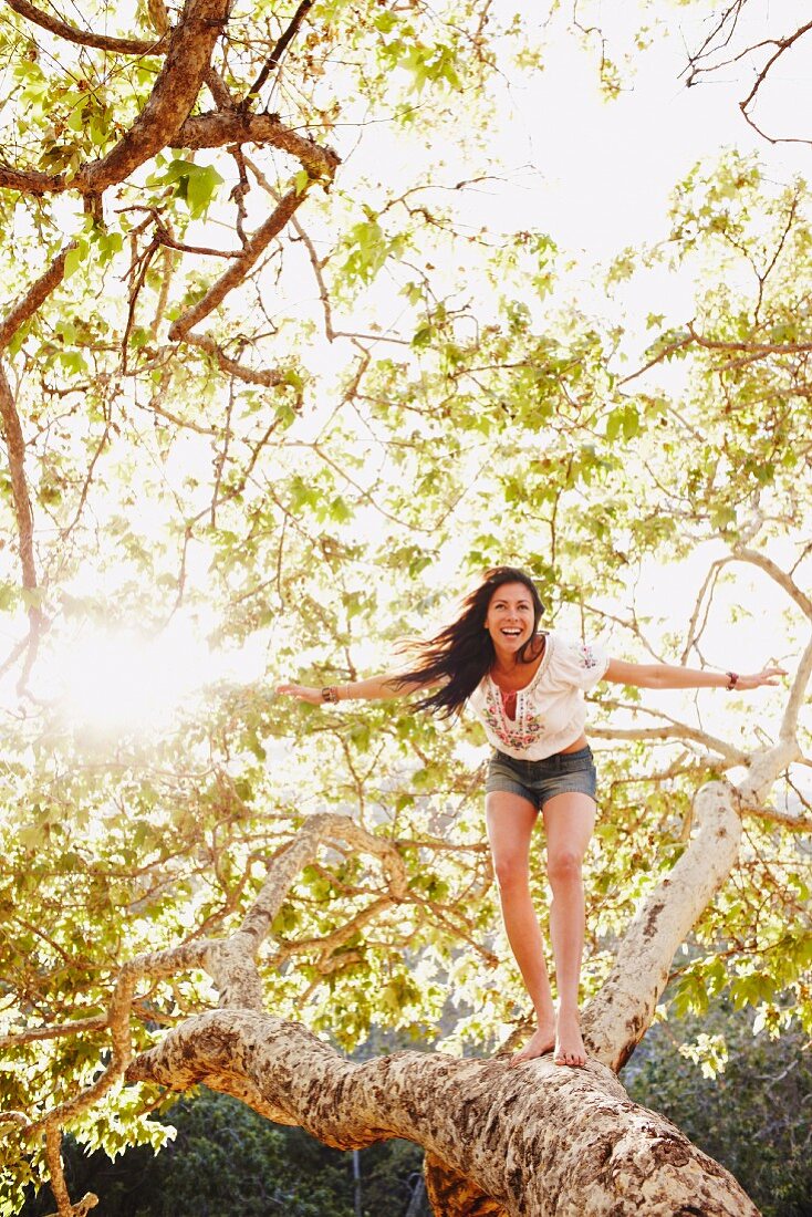 Young woman balancing in branches of a tree