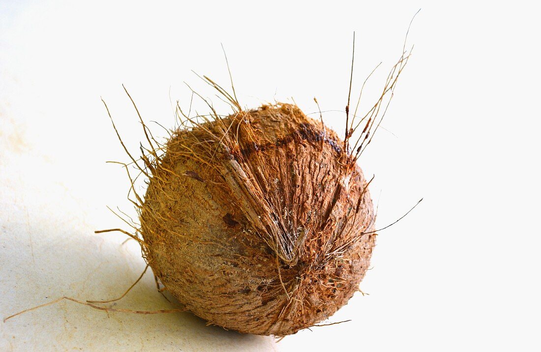 Eine ganze Kokosnuss