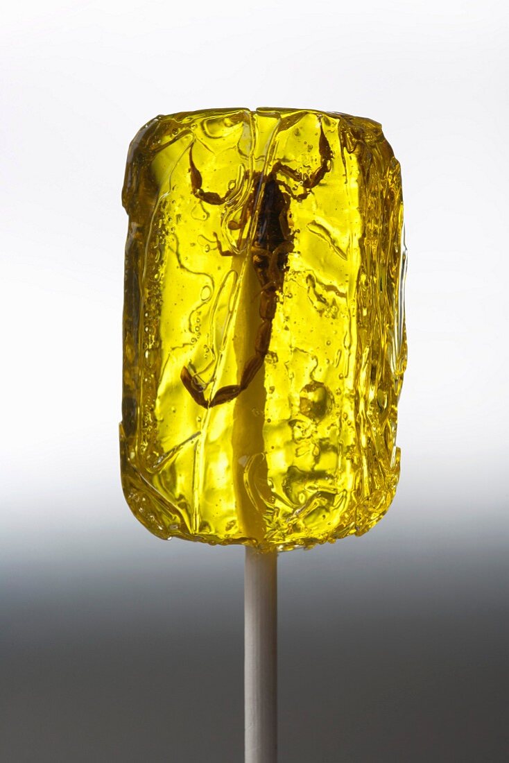 Lollipop With Scorpion Inside