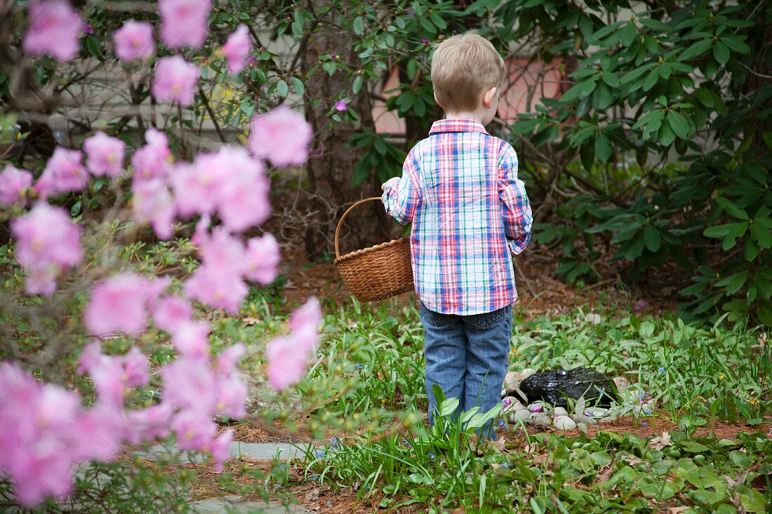 Young Boy Standing With Basket in Garden, Rear View