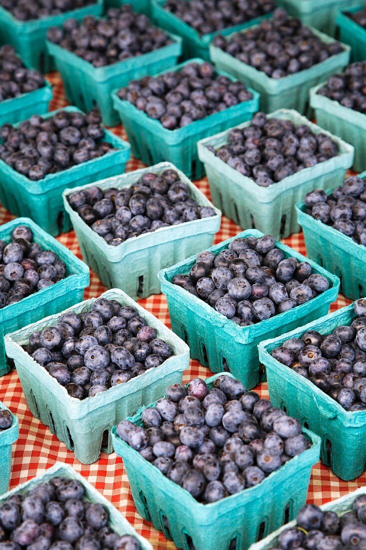 Cartons of Blueberries