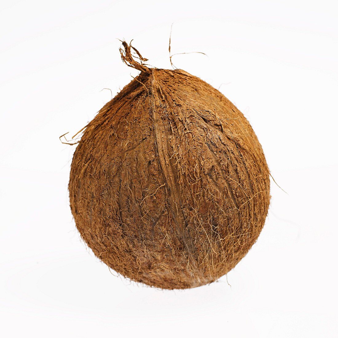 Whole Coconut on White