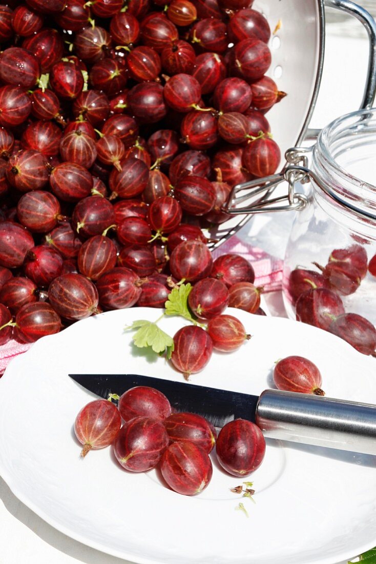 Rote Stachelbeeren auf Gartentisch