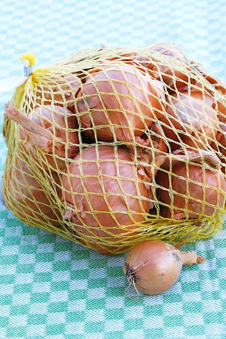 Onions in a net bag