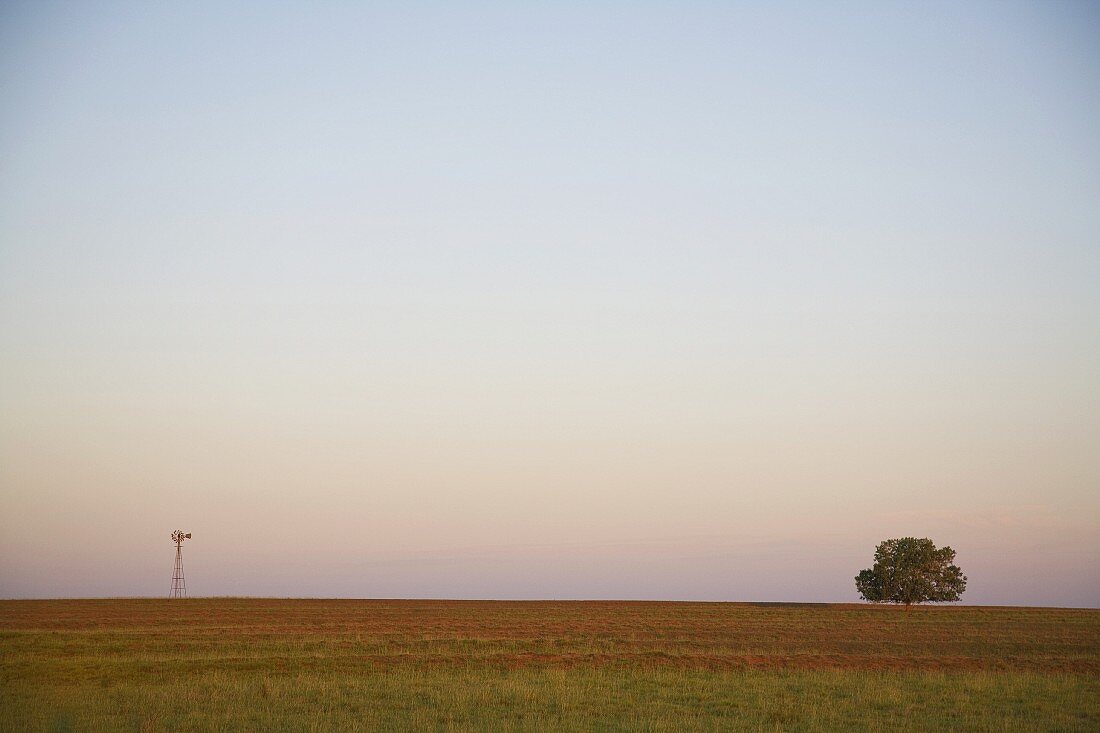 Liebliches Abendlicht mit einsamem Baum und Windrad