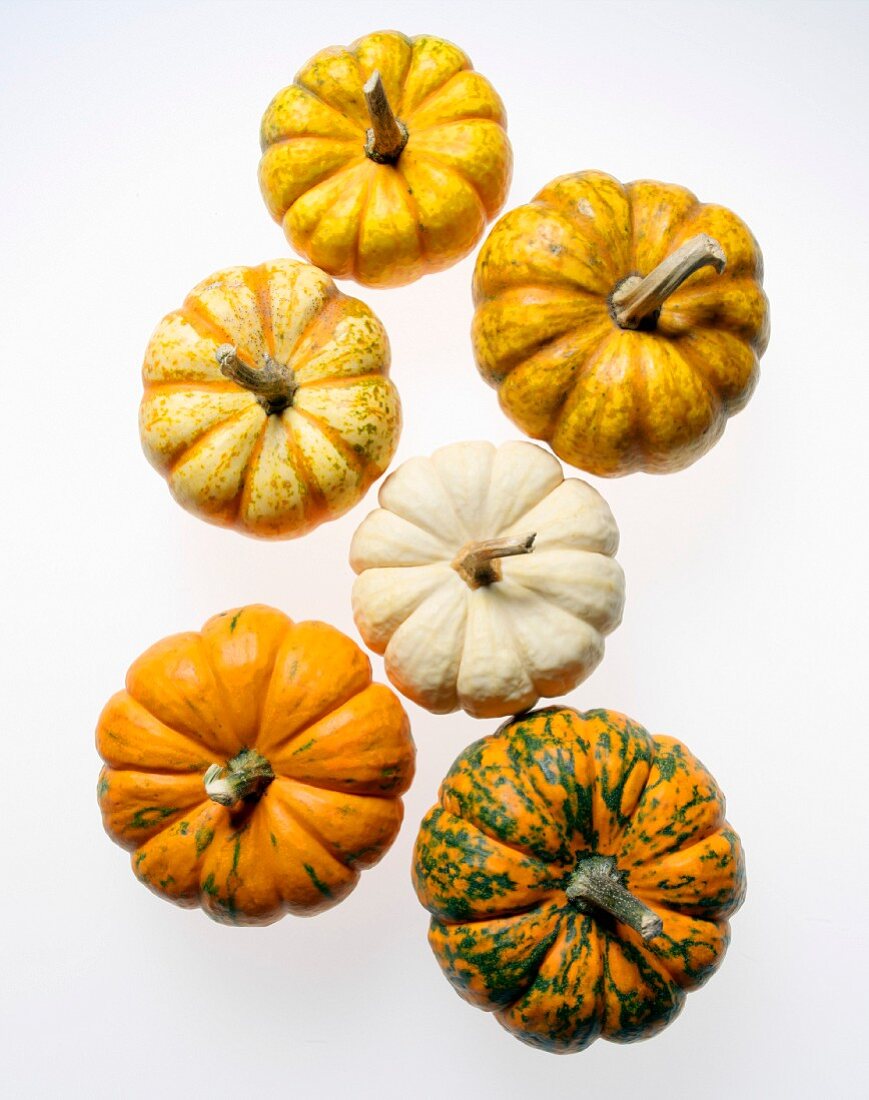 Six pumpkins on white background, high angle view