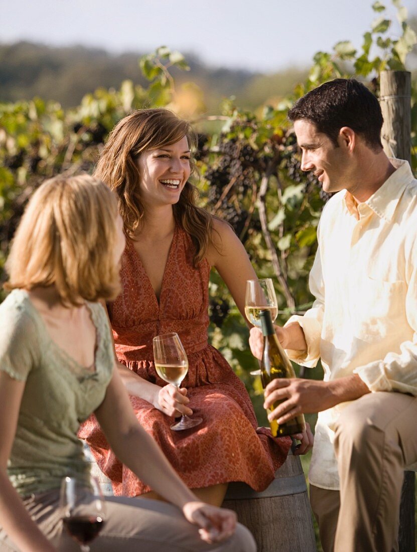 Frau trinkt mit Freunden Weißwein im Weinberg