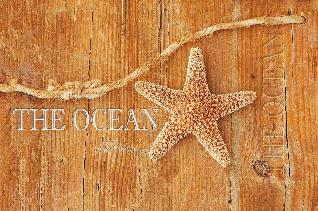 Dried starfish and piece of rope on wooden surface with lettering